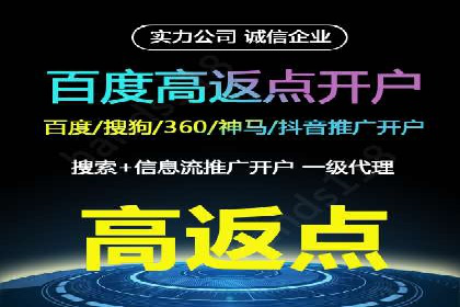 百度搜索推广实战：经典案例深度剖析